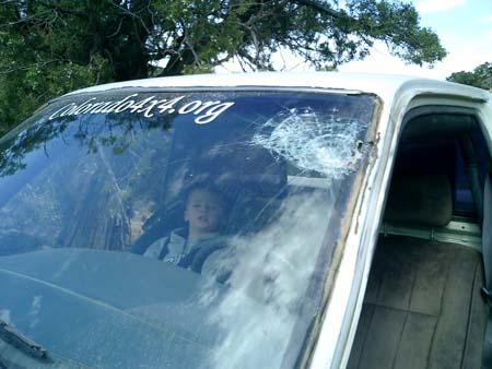 windshield3
